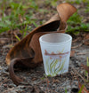 Fish of Florida Shot Glasses Frosted