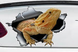 Reptile Car Stickers