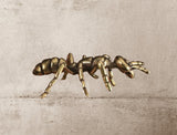 Ant Brass Figurine