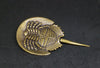 Horseshoe Crab Brass Figurine