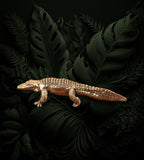 Alligator Walking Brass Figurine