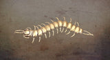 Centipede Brass Figurine