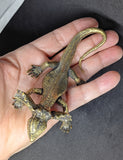 Lizard Frilled Large Brass Figurine