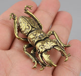 Brass Stag Pinch Beetle