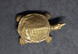 Turtle Softshell Brass Figurine