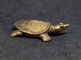 Turtle Softshell Brass Figurine