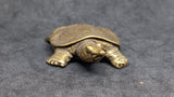 Turtle Softshell Brass Figurine