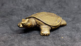 Turtle Softshell Brass Figurine