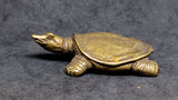 Turtle Softshell Brass Figurine