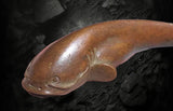 Fish Giant Amur Catfish Brass  Figurine