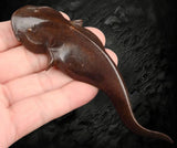 Fish Giant Amur Catfish Brass  Figurine