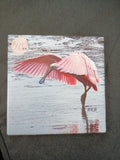 Roseate Spoonbill Ceramic Tile