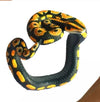 Snake Bracelet Realistic Small