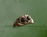 Jumping Spider Ring