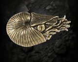 BKB Custom Gifts heavy brass chambered nautilus figurine with detailed spiral shell and tentacles