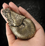 BKB Custom Gifts chambered nautilus figurine made of heavy brass with detailed spiral shell texture held in a hand