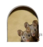 Mouse Home Stickers
