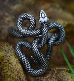 Snake Twisted Ring