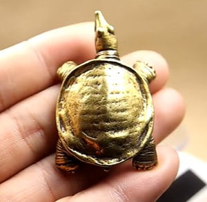 Turtle Softshell Brass Figurine